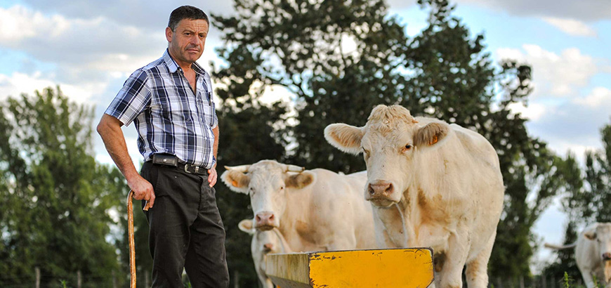 France Bans Metam-Sodium Sprays